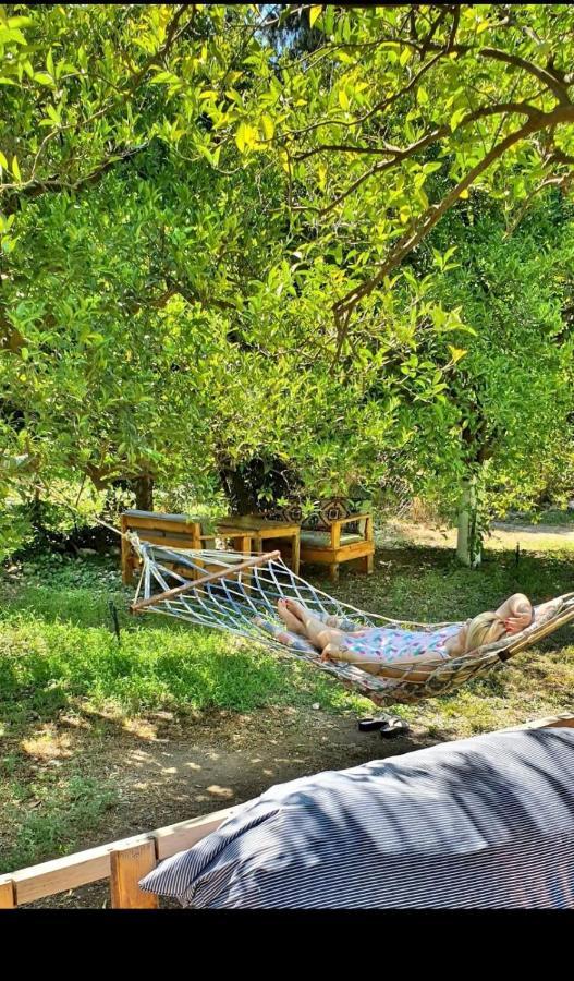 Sakli Bahce Pension ชิลารึ ภายนอก รูปภาพ