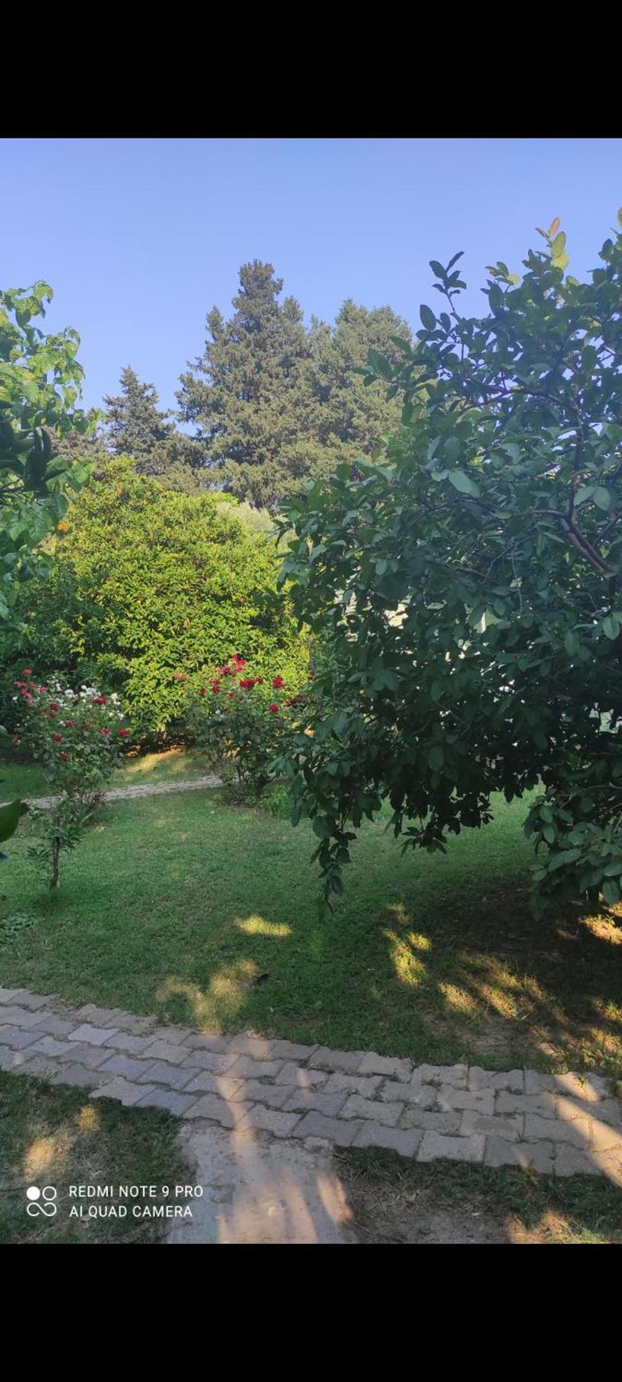 Sakli Bahce Pension ชิลารึ ภายนอก รูปภาพ