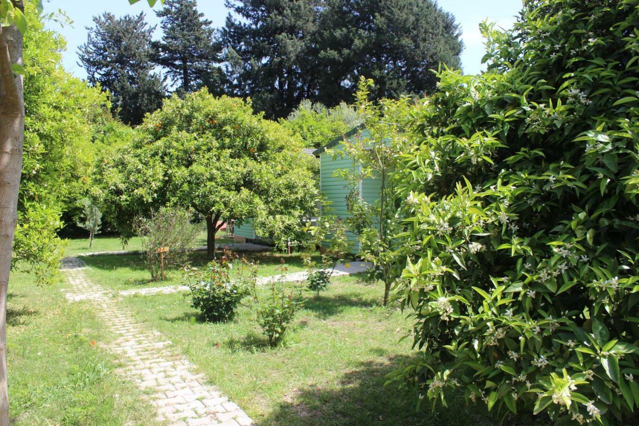 Sakli Bahce Pension ชิลารึ ภายนอก รูปภาพ