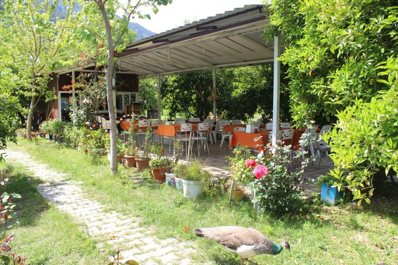 Sakli Bahce Pension ชิลารึ ภายนอก รูปภาพ