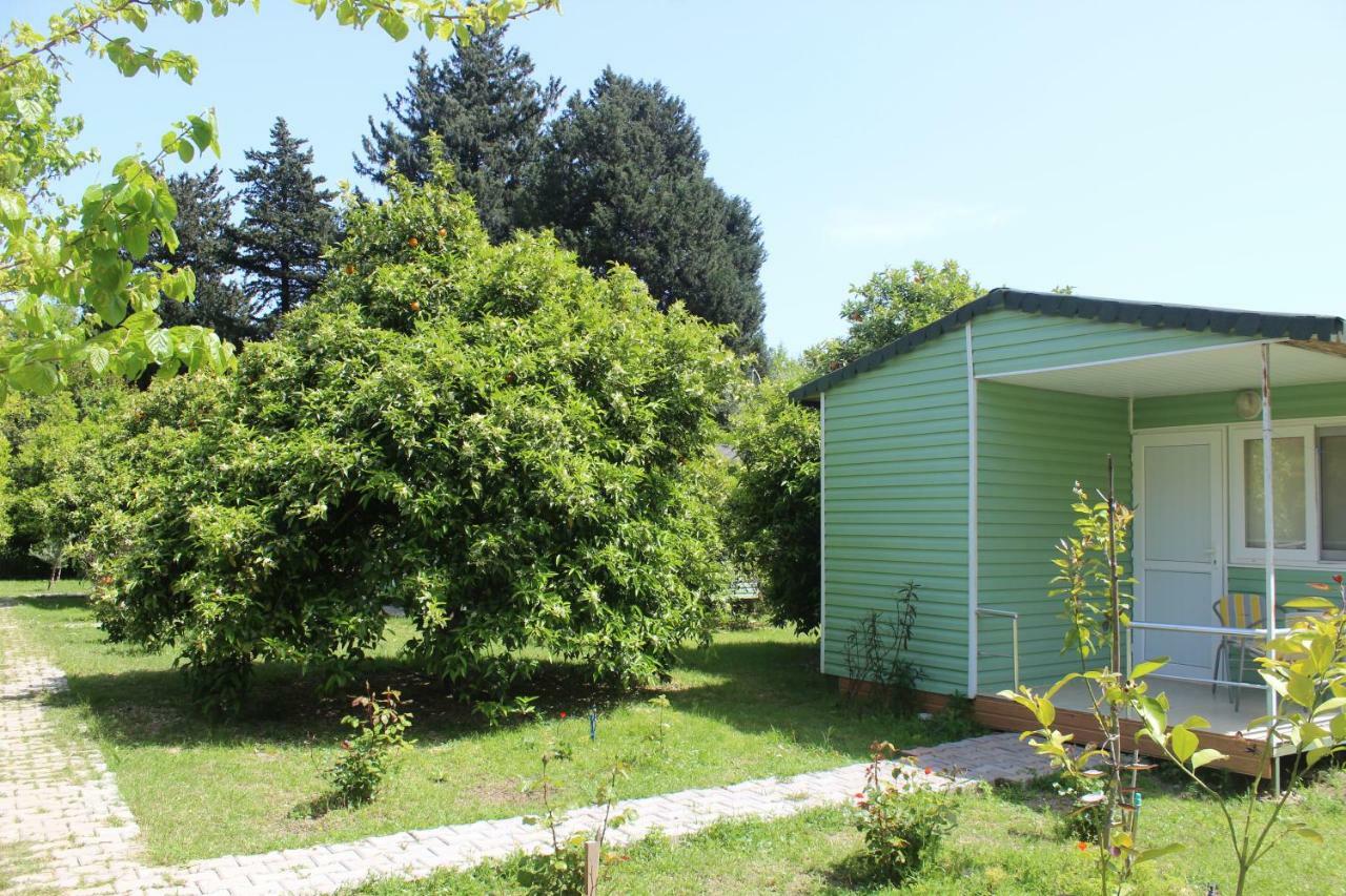 Sakli Bahce Pension ชิลารึ ภายนอก รูปภาพ