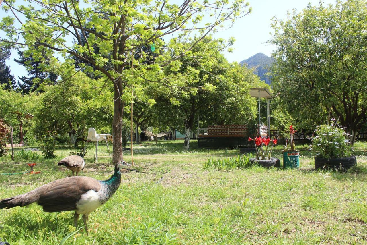 Sakli Bahce Pension ชิลารึ ภายนอก รูปภาพ