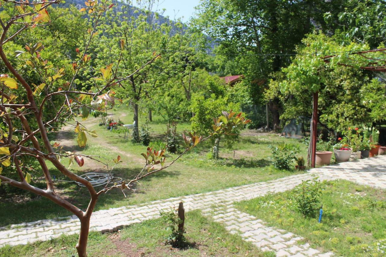 Sakli Bahce Pension ชิลารึ ภายนอก รูปภาพ