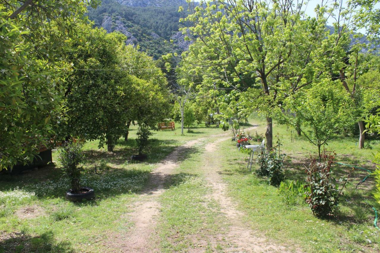 Sakli Bahce Pension ชิลารึ ภายนอก รูปภาพ