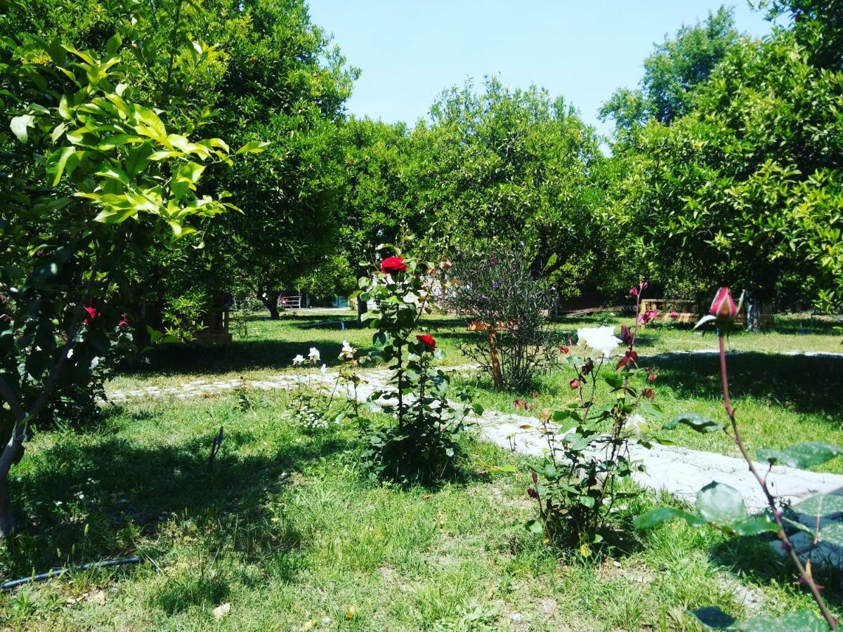 Sakli Bahce Pension ชิลารึ ภายนอก รูปภาพ