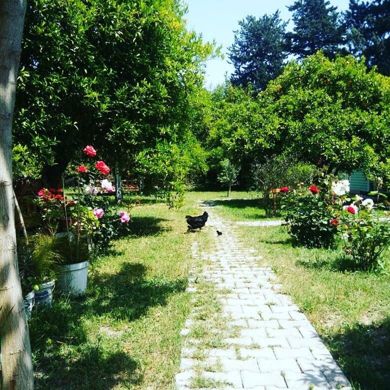 Sakli Bahce Pension ชิลารึ ภายนอก รูปภาพ